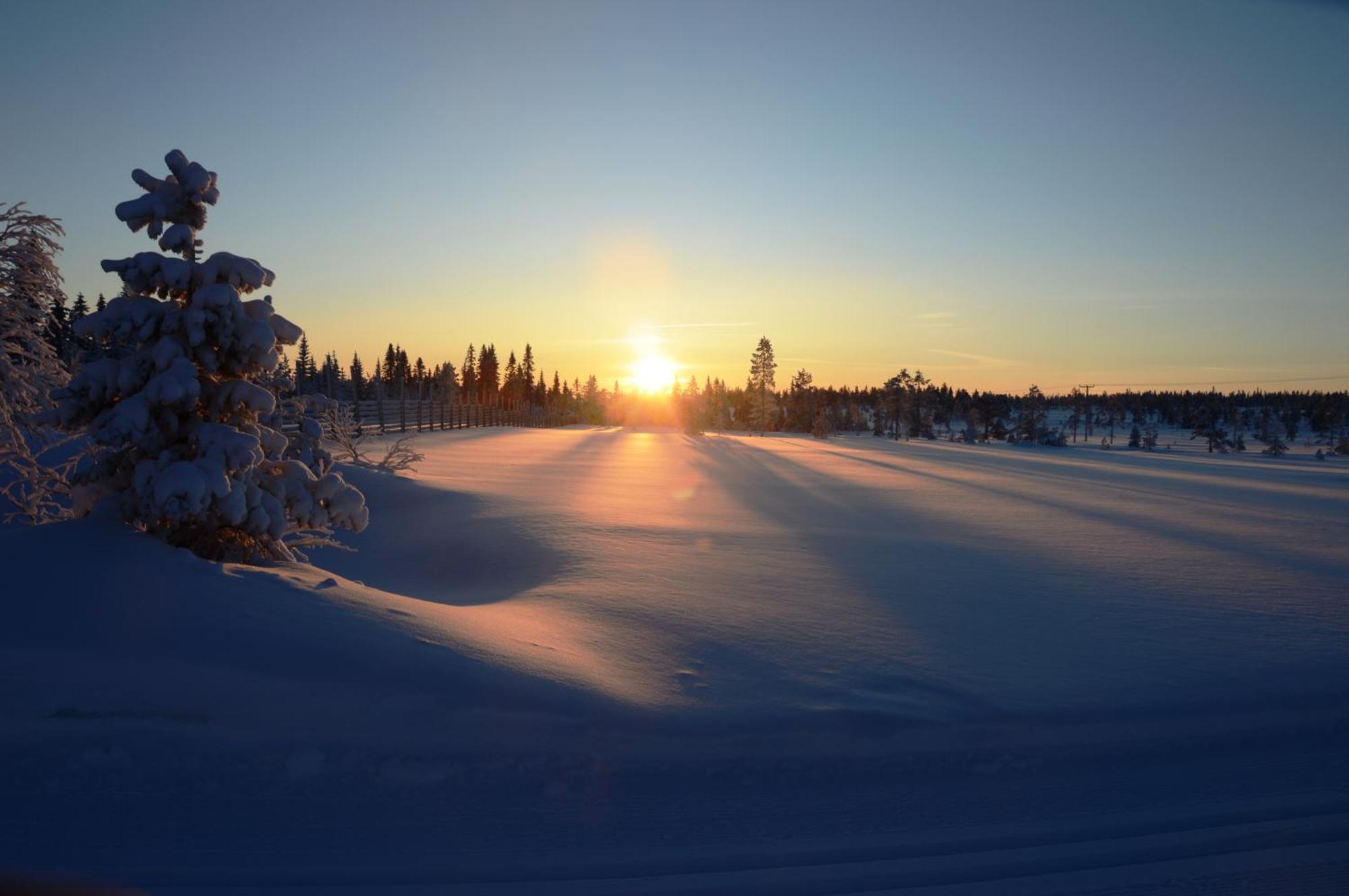 12 - Fulufjellets Nasjonalparker - Natur-, Dyre- Og Fugleopplevelser Ljordal Екстер'єр фото