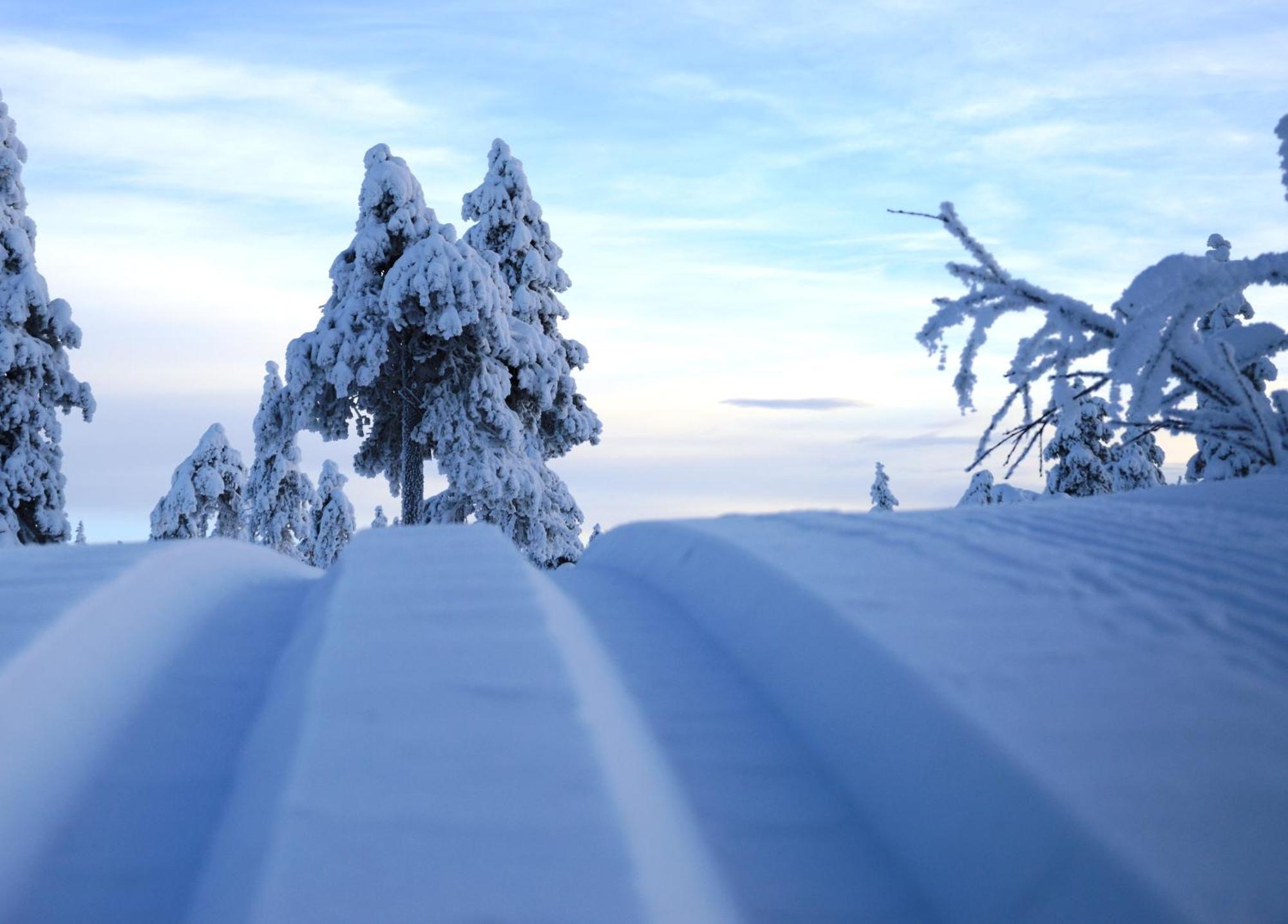 12 - Fulufjellets Nasjonalparker - Natur-, Dyre- Og Fugleopplevelser Ljordal Екстер'єр фото