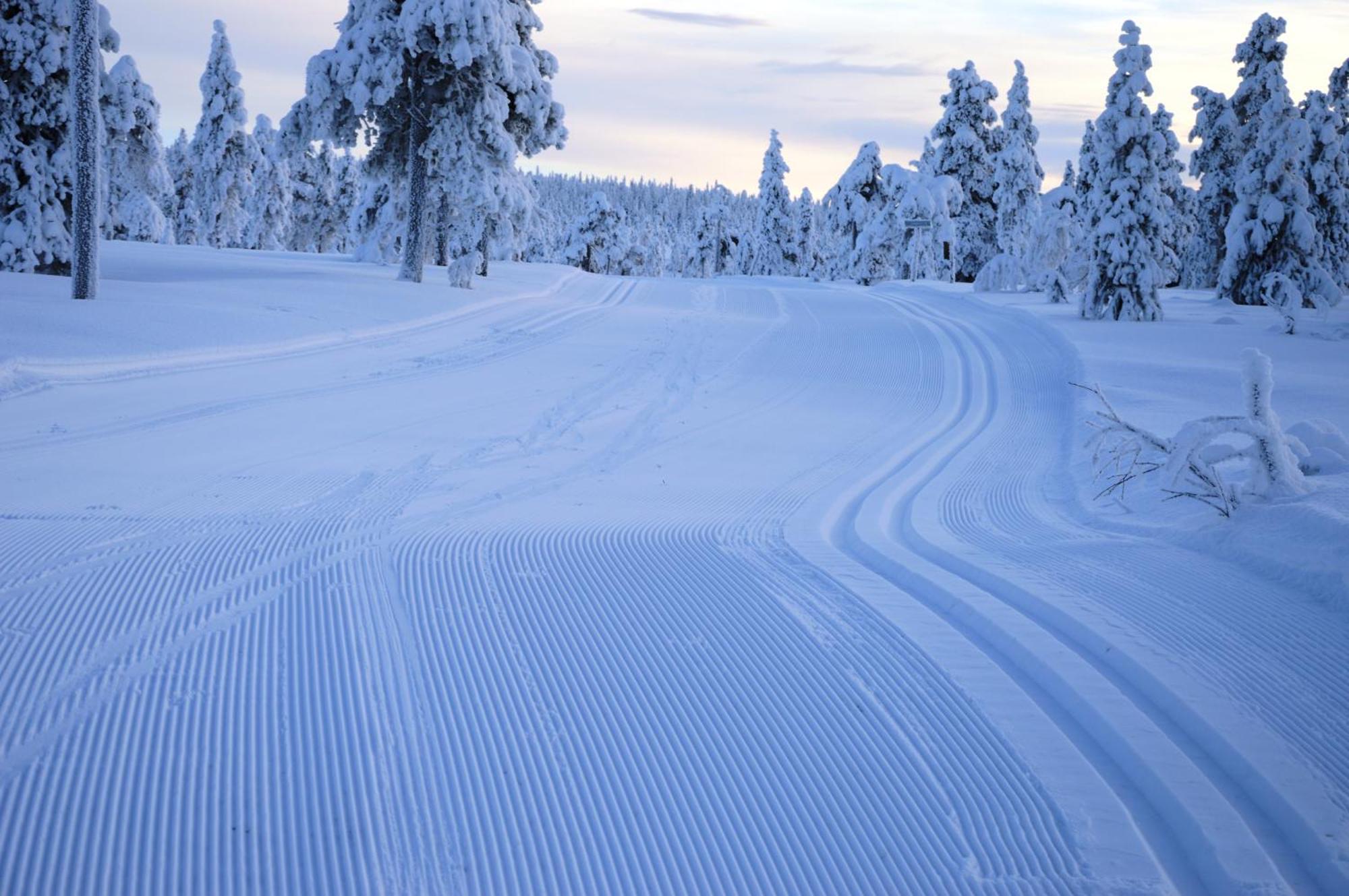 12 - Fulufjellets Nasjonalparker - Natur-, Dyre- Og Fugleopplevelser Ljordal Екстер'єр фото