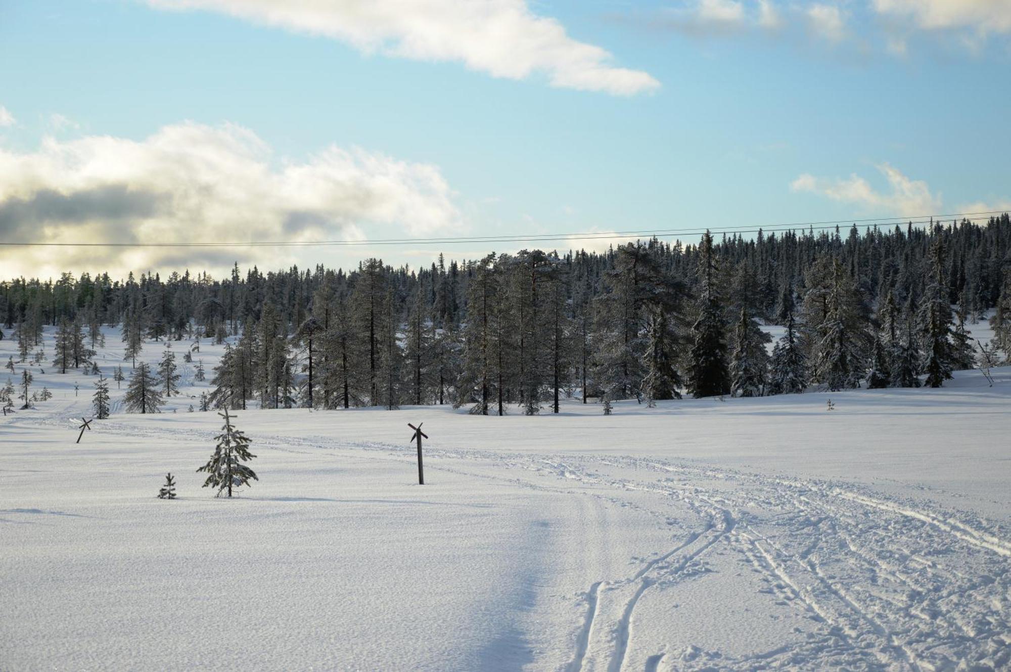 12 - Fulufjellets Nasjonalparker - Natur-, Dyre- Og Fugleopplevelser Ljordal Екстер'єр фото