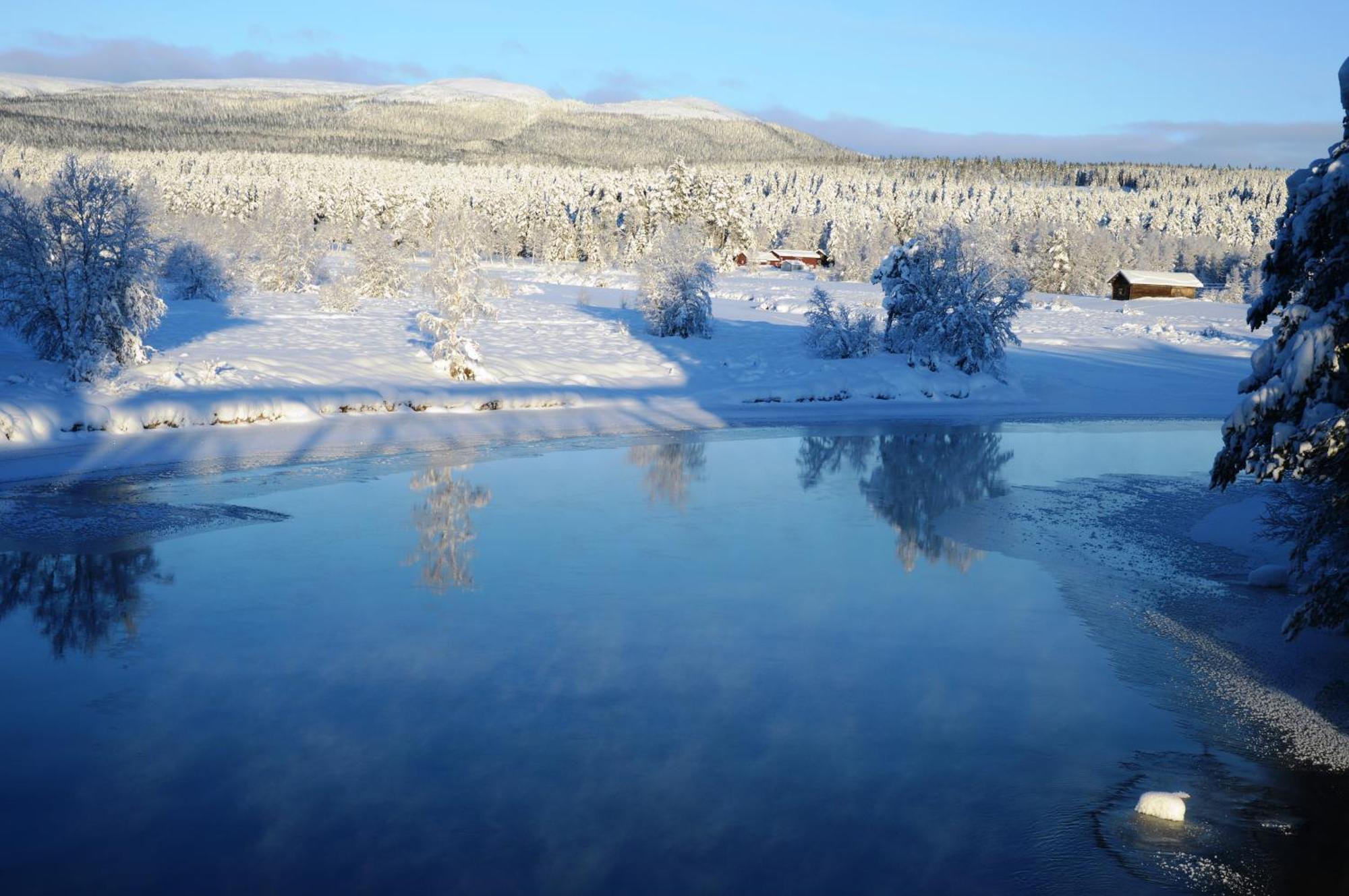 12 - Fulufjellets Nasjonalparker - Natur-, Dyre- Og Fugleopplevelser Ljordal Екстер'єр фото