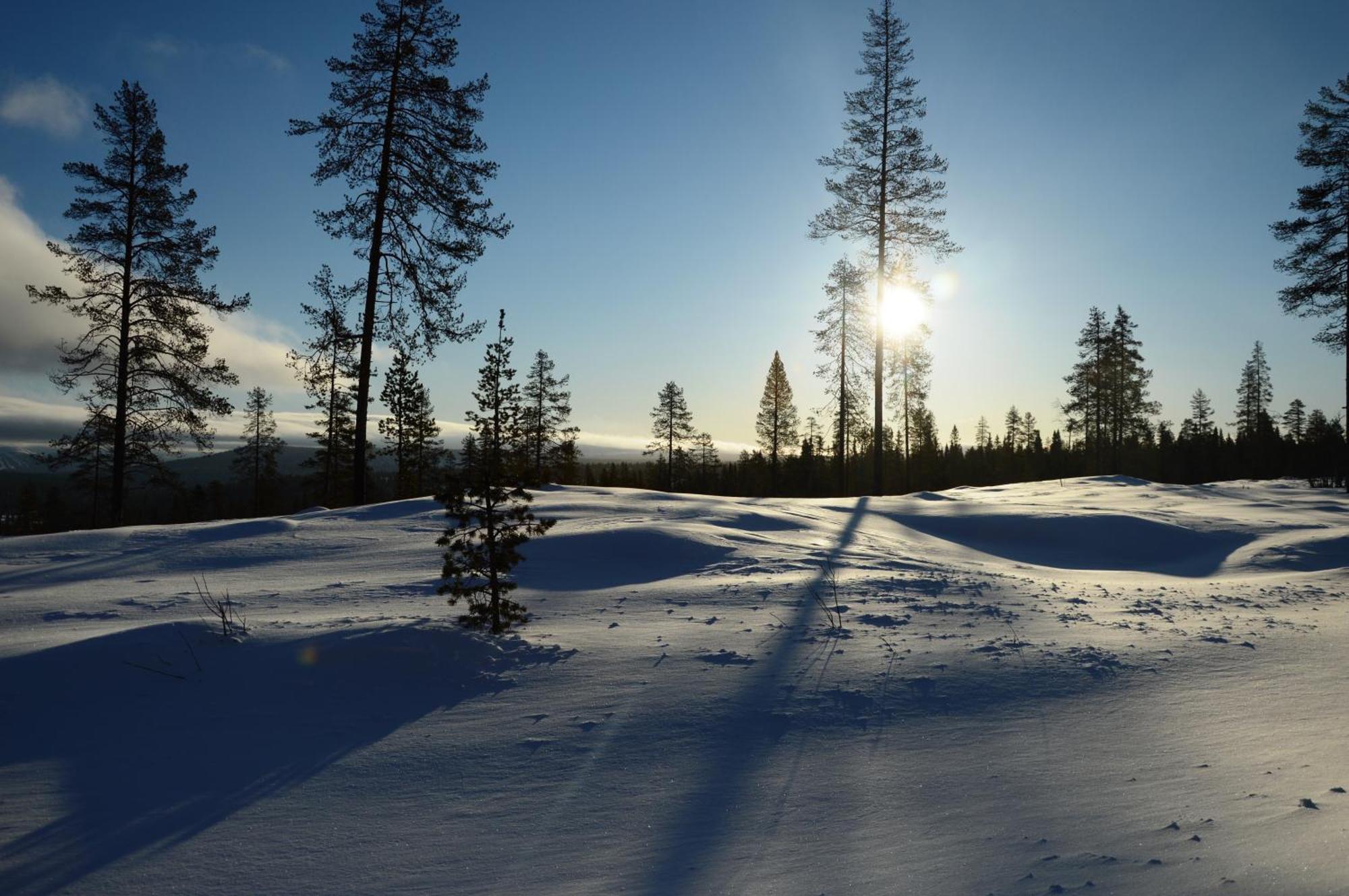 12 - Fulufjellets Nasjonalparker - Natur-, Dyre- Og Fugleopplevelser Ljordal Екстер'єр фото