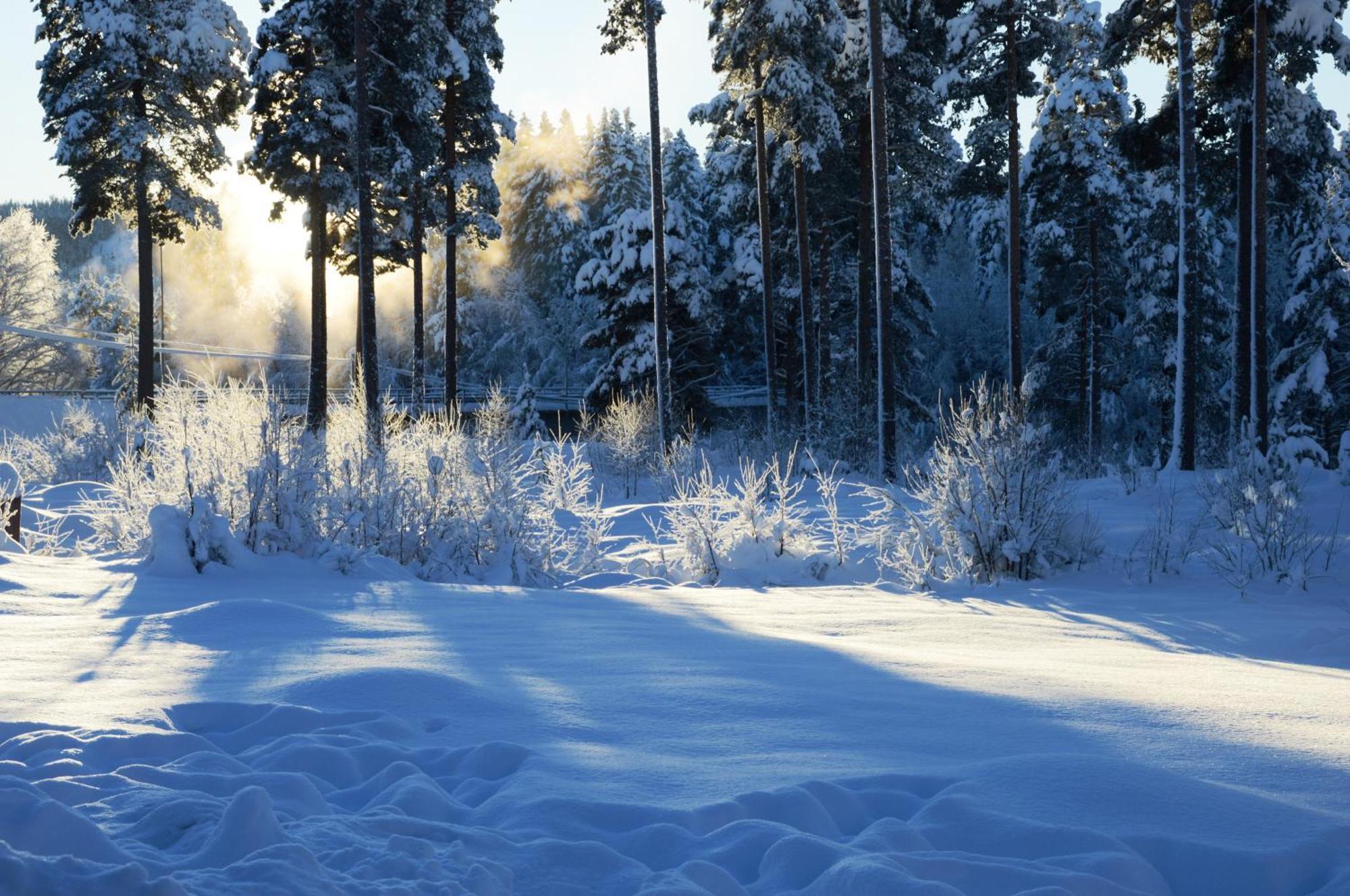 12 - Fulufjellets Nasjonalparker - Natur-, Dyre- Og Fugleopplevelser Ljordal Екстер'єр фото