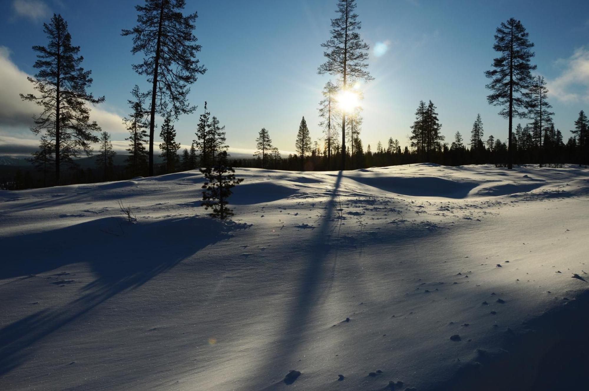 12 - Fulufjellets Nasjonalparker - Natur-, Dyre- Og Fugleopplevelser Ljordal Екстер'єр фото