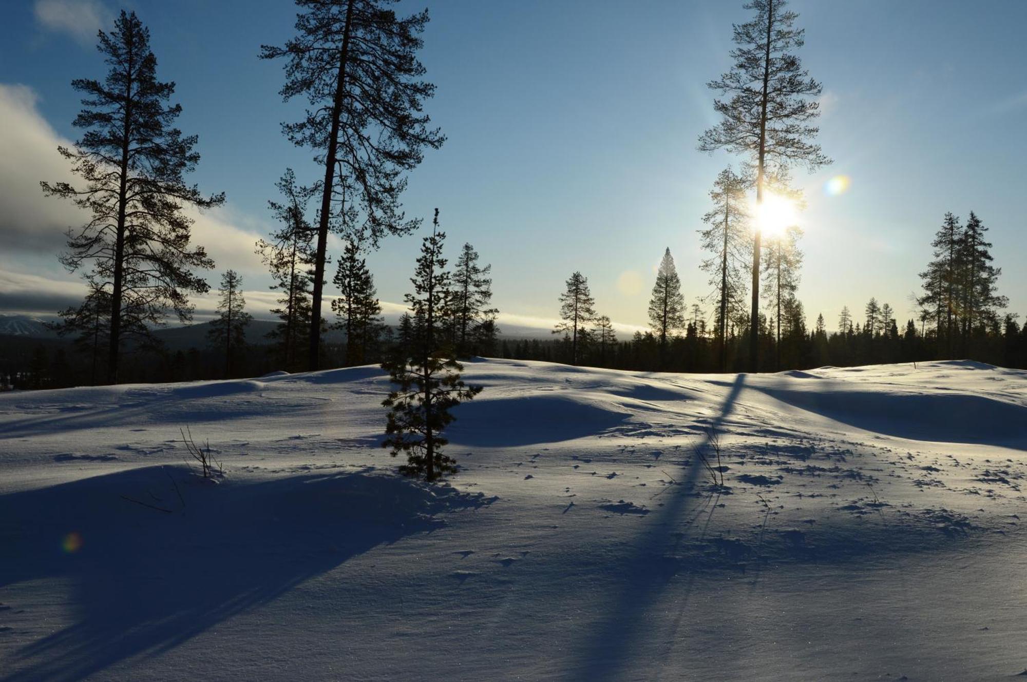 12 - Fulufjellets Nasjonalparker - Natur-, Dyre- Og Fugleopplevelser Ljordal Екстер'єр фото