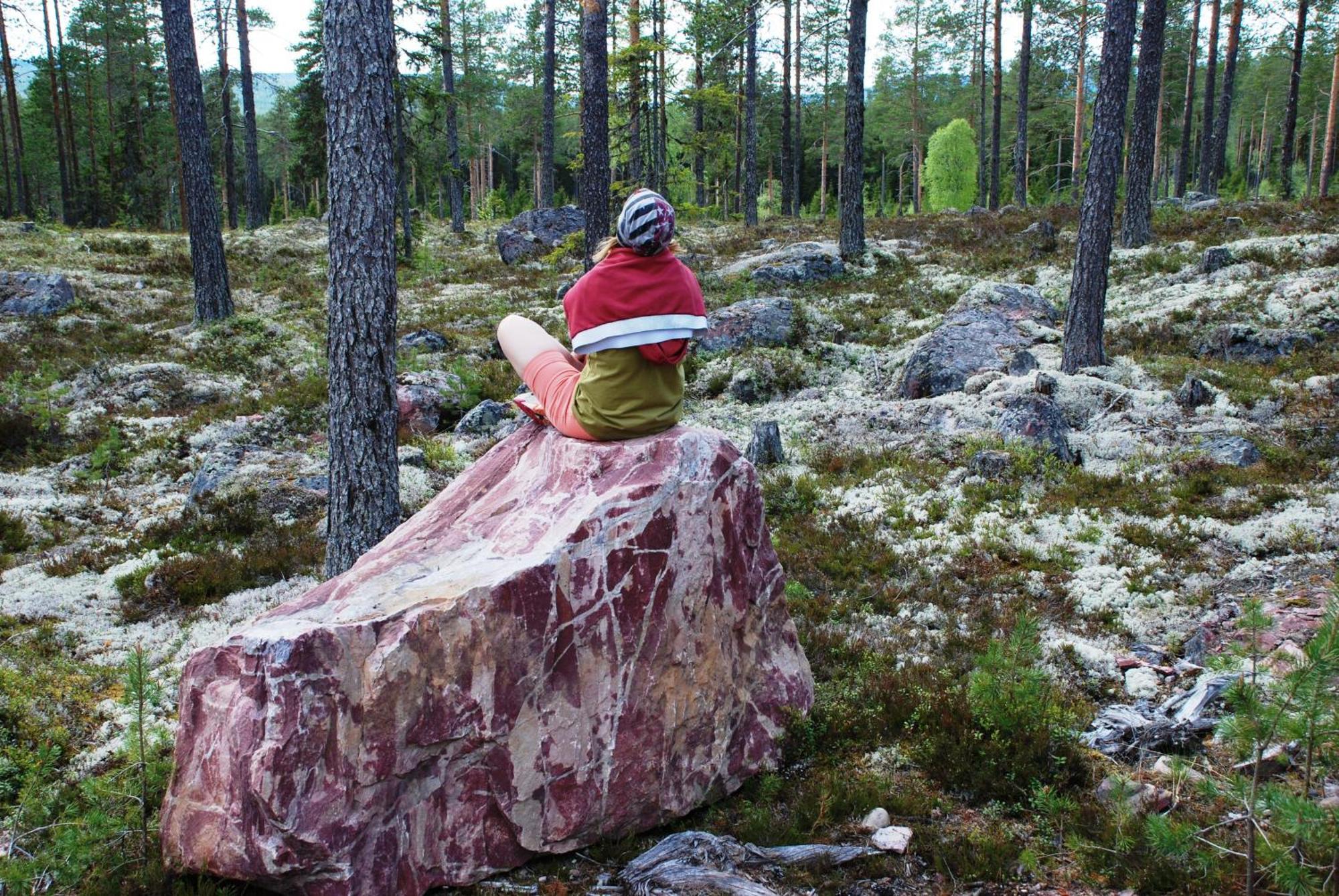 12 - Fulufjellets Nasjonalparker - Natur-, Dyre- Og Fugleopplevelser Ljordal Екстер'єр фото
