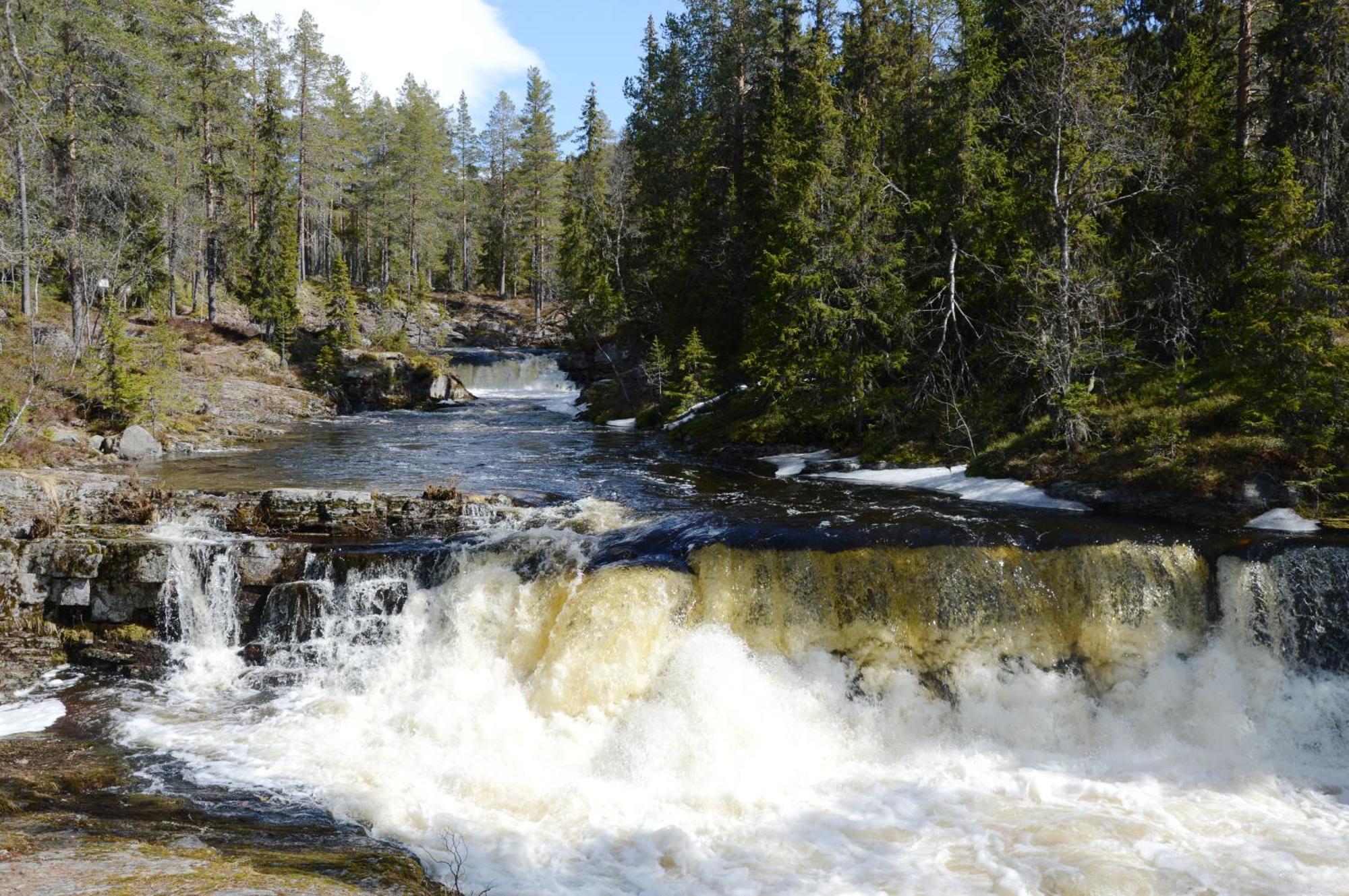 12 - Fulufjellets Nasjonalparker - Natur-, Dyre- Og Fugleopplevelser Ljordal Екстер'єр фото