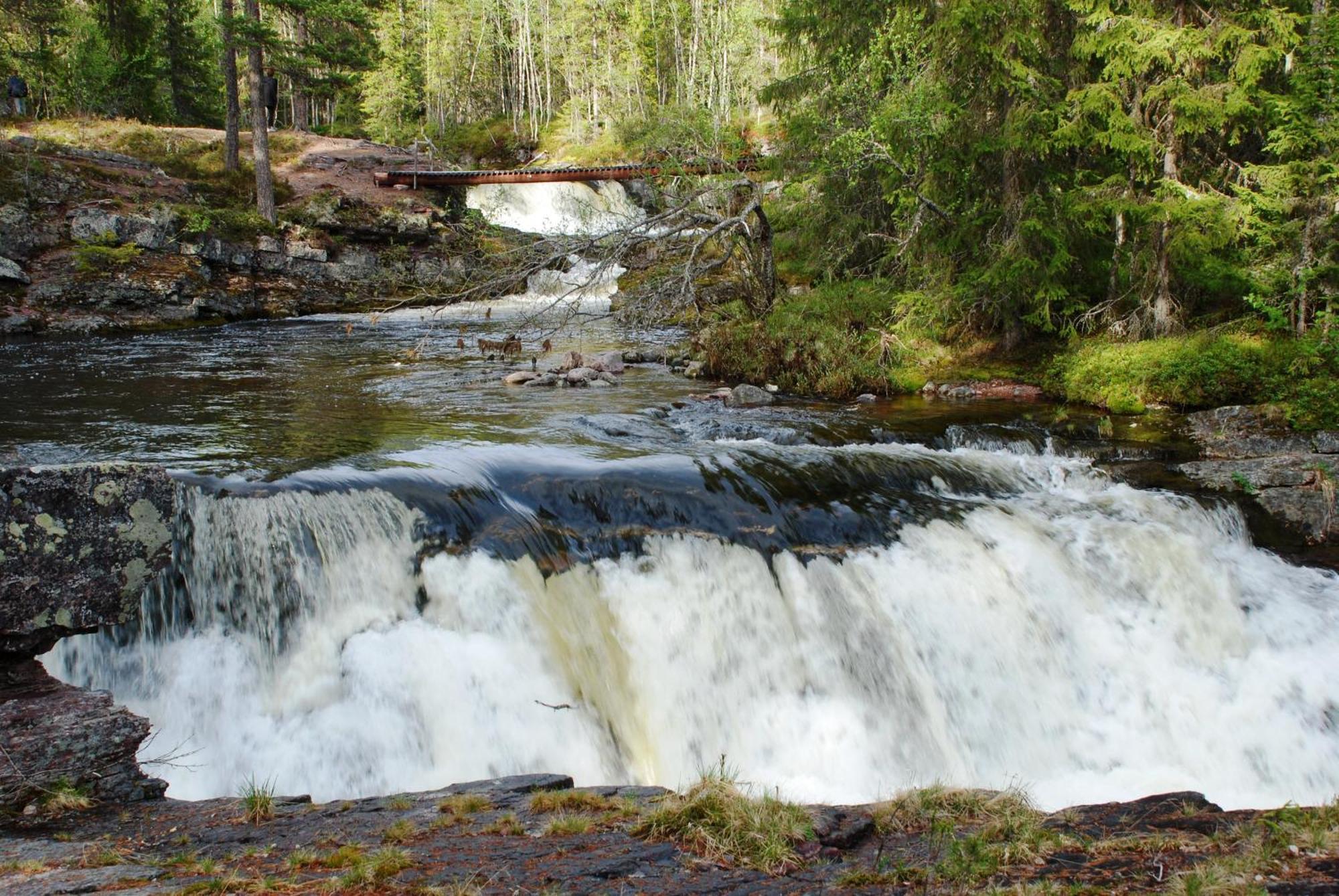 12 - Fulufjellets Nasjonalparker - Natur-, Dyre- Og Fugleopplevelser Ljordal Екстер'єр фото