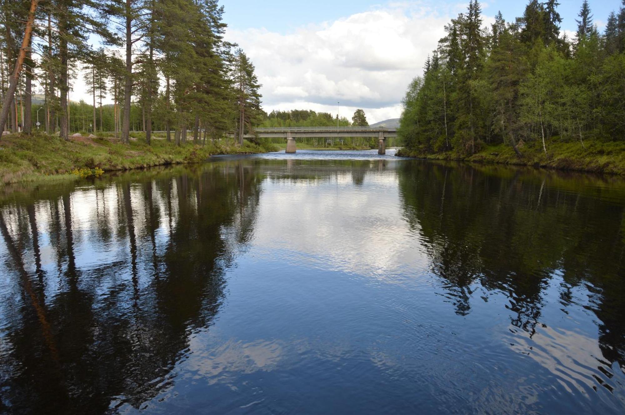 12 - Fulufjellets Nasjonalparker - Natur-, Dyre- Og Fugleopplevelser Ljordal Екстер'єр фото
